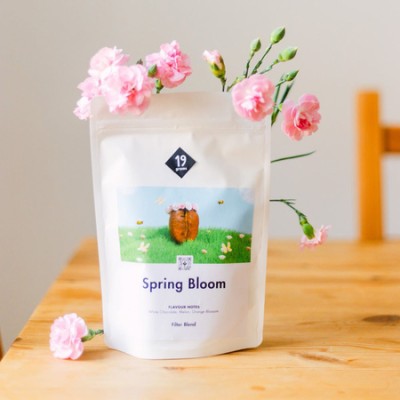 19grams - kawa ziarnista Spring Bloom Washed Filter 250 g - zdjęcie 2