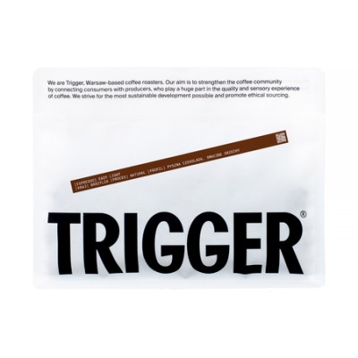 Trigger - kawa ziarnista Easy Light Brazylia Chapadao de Ferro Natural Espresso 250 g - zdjęcie 1