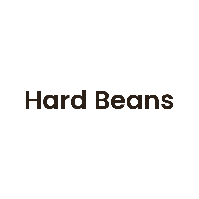 Hard Beans